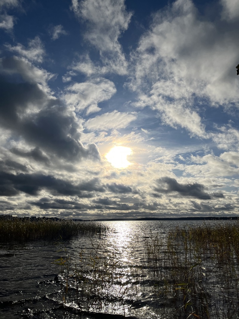 PDA-prat med ideellt engagerad medlem